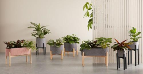 Hakuun, lot de 2 pots de fleurs en terrazzo avec pieds en hévéa, rose